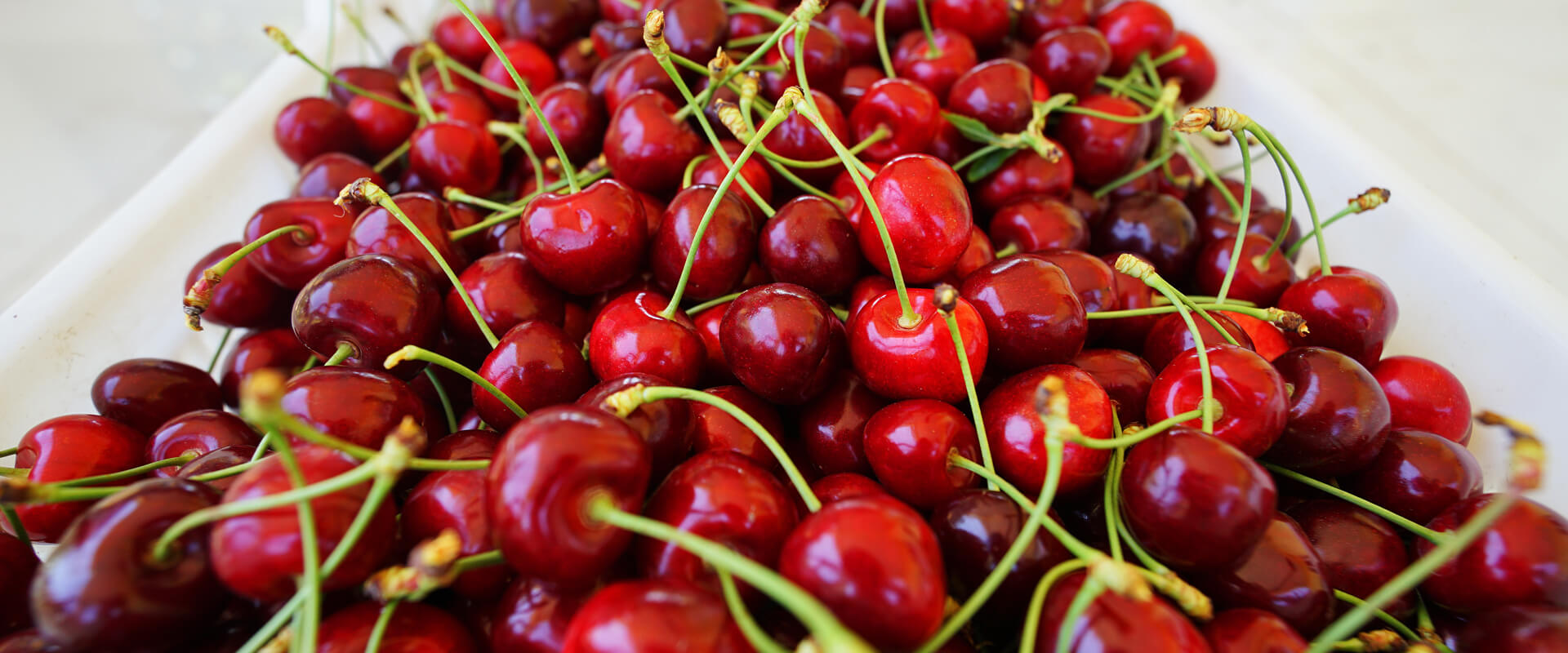 kiraz-1920x800